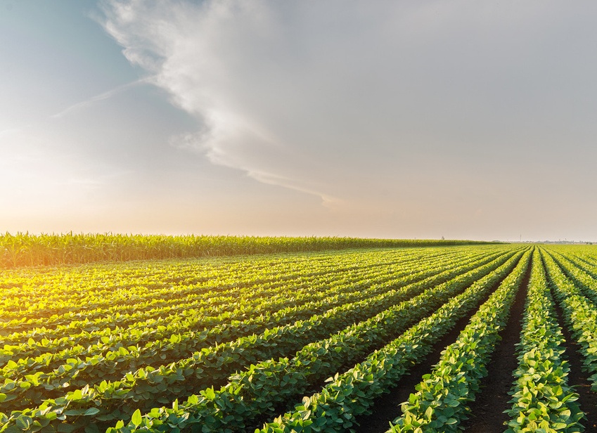 30 лет раскрываем силу растений история успеха Эвалар